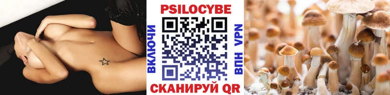 Галлюциногенные грибы ЛСД  где продают наркотики  Новотроицк 