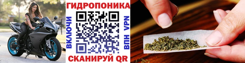 мега ССЫЛКА Новотроицк МАРИХУАНА Amnesia